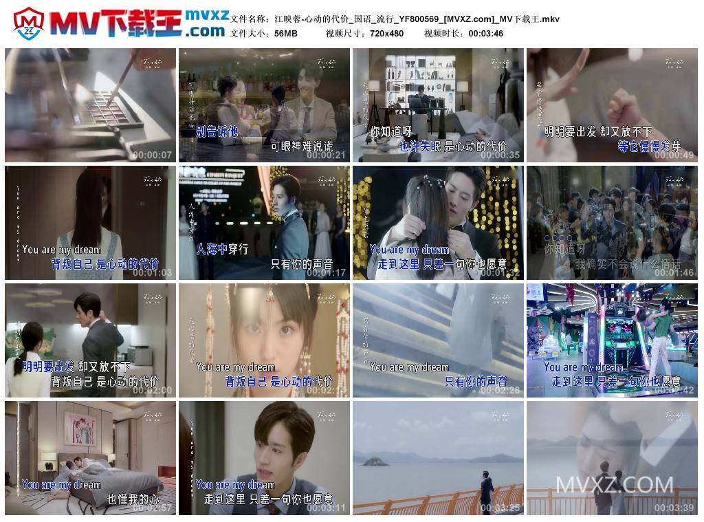 江映蓉-心动的代价_国语_流行_YF800569